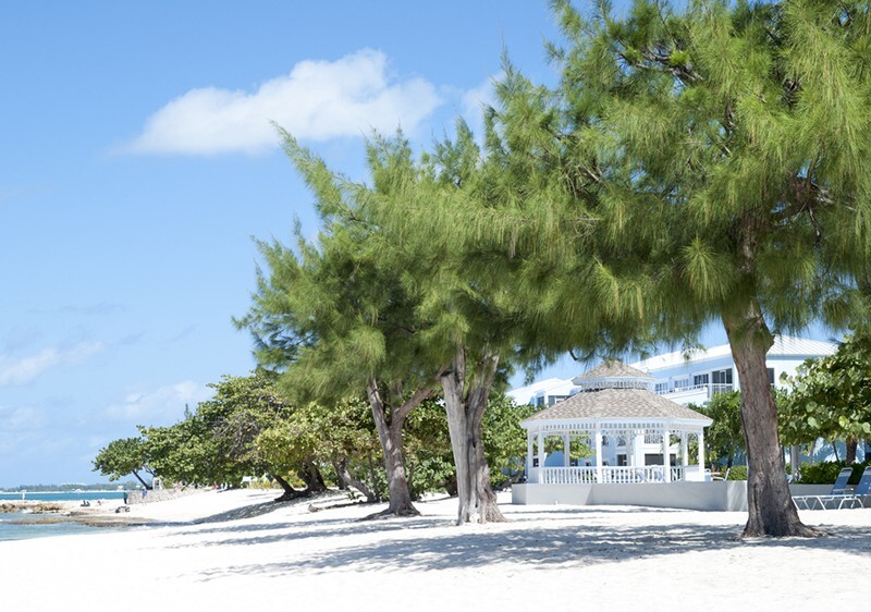 Don’t forget about the Cayman Islands beaches - they are some of the prettiest in the Caribbean. We LOVE 7 Mile beach!
#JTCruiseplanners #letstravelmore #travelsafe #postcovidtravel #WeAreInThisTogether #wanderlust #CaymanIsland #SevenMileBeach