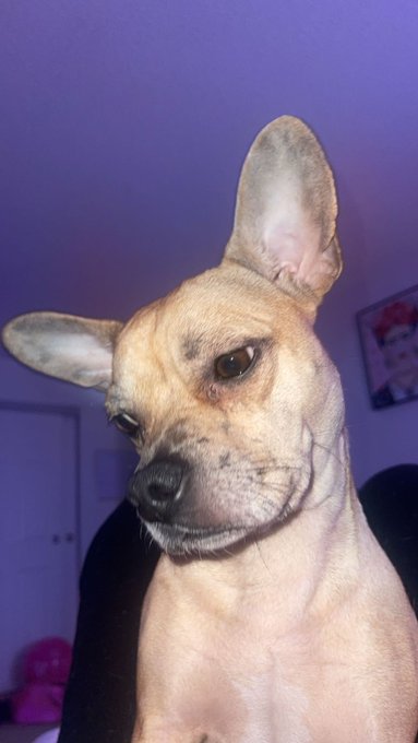 Have Scrap-tacular morning https://t.co/LSSEMZAIk2<a href="/tag/pantyhose"class="tags"><span>#pantyhose</span></a>