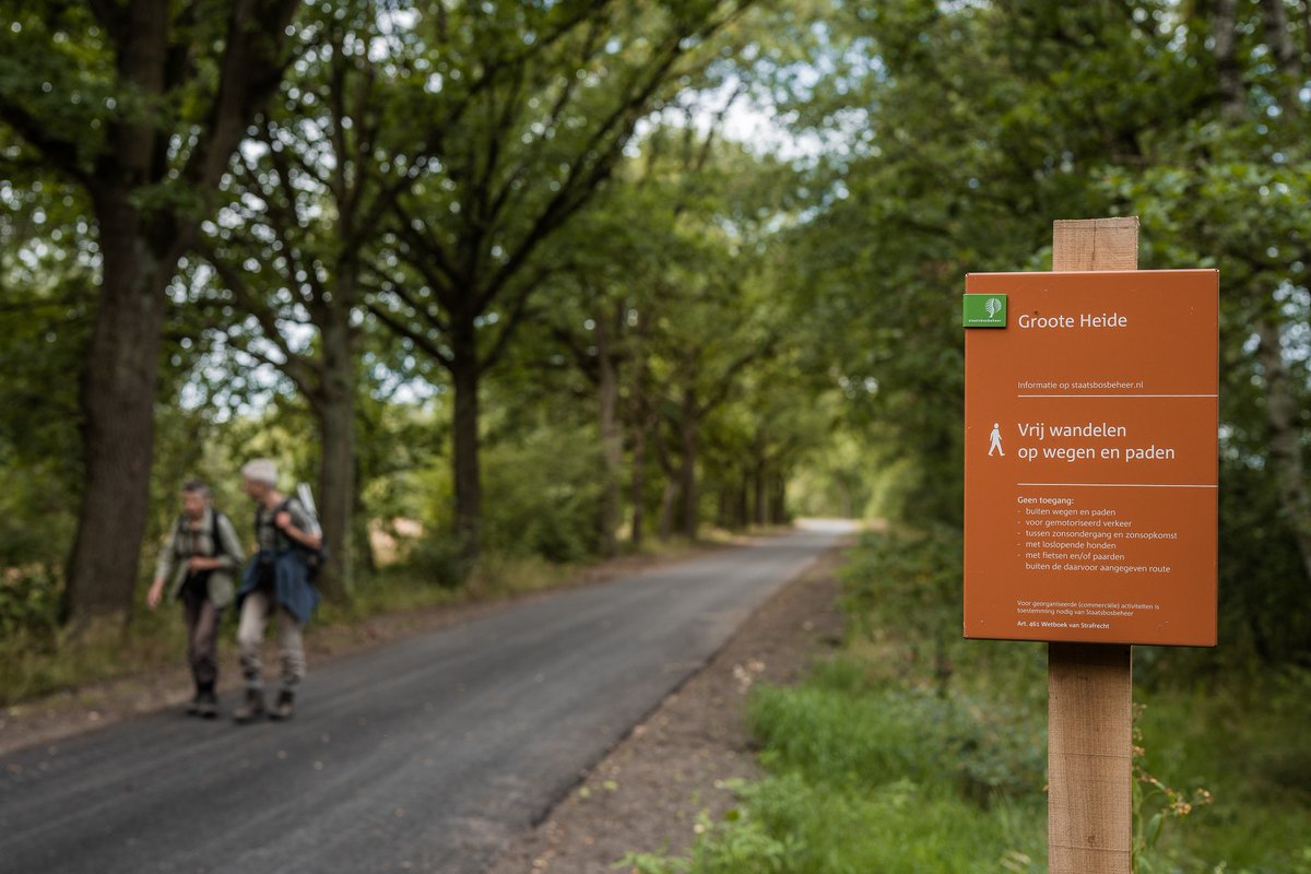 Gem_Cranendonck's tweet photo. Goed nieuws voor de Groote Heide! 🌺

Het Europees subsidieprogramma Interreg Vlaanderen-Nederland investeert 2,25 miljoen euro in dit prachtige natuurgebied. Hiermee worden de komende jaren verschillende grote en kleine projecten uitgewerkt. Lees meer 👉 https://t.co/Og5HtoElSA https://t.co/N8DVnZbLQN