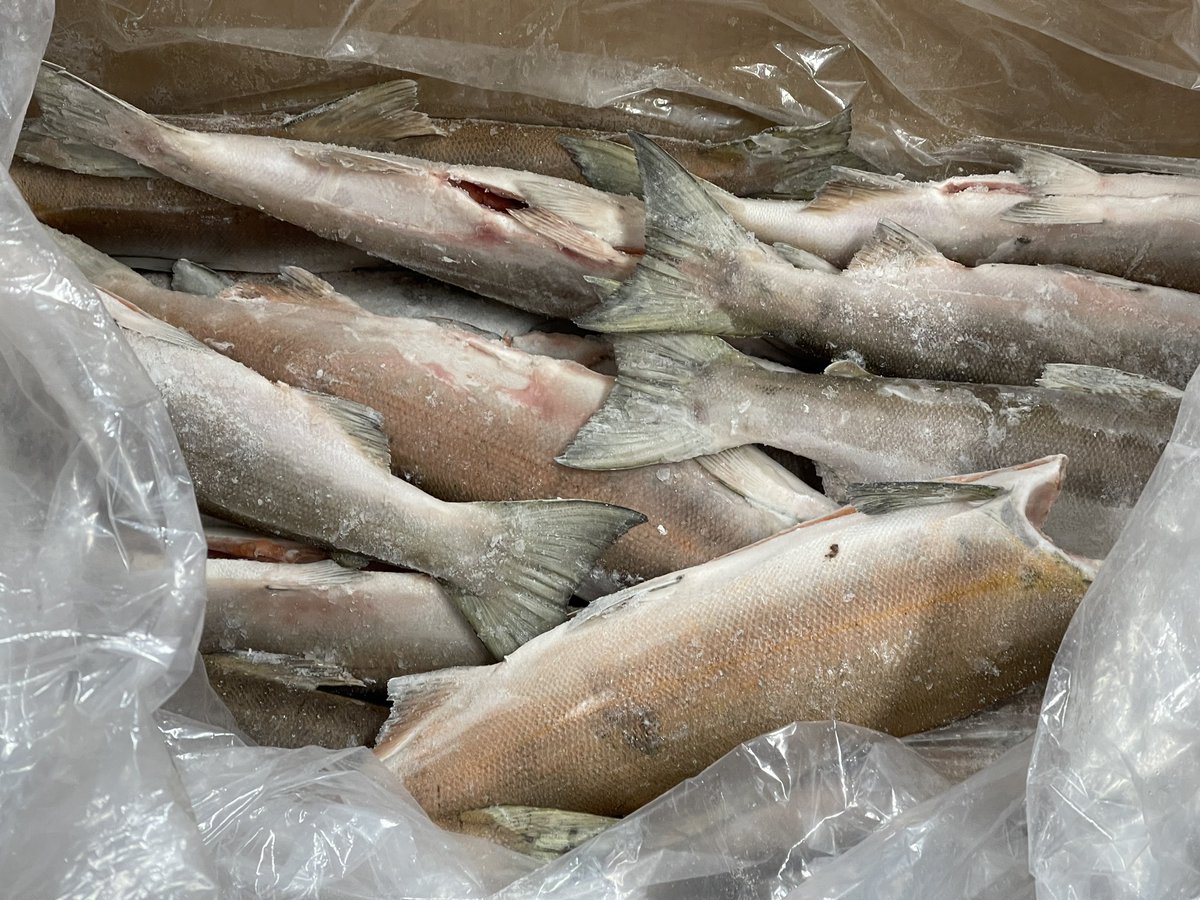 Wilson Miao tweet media