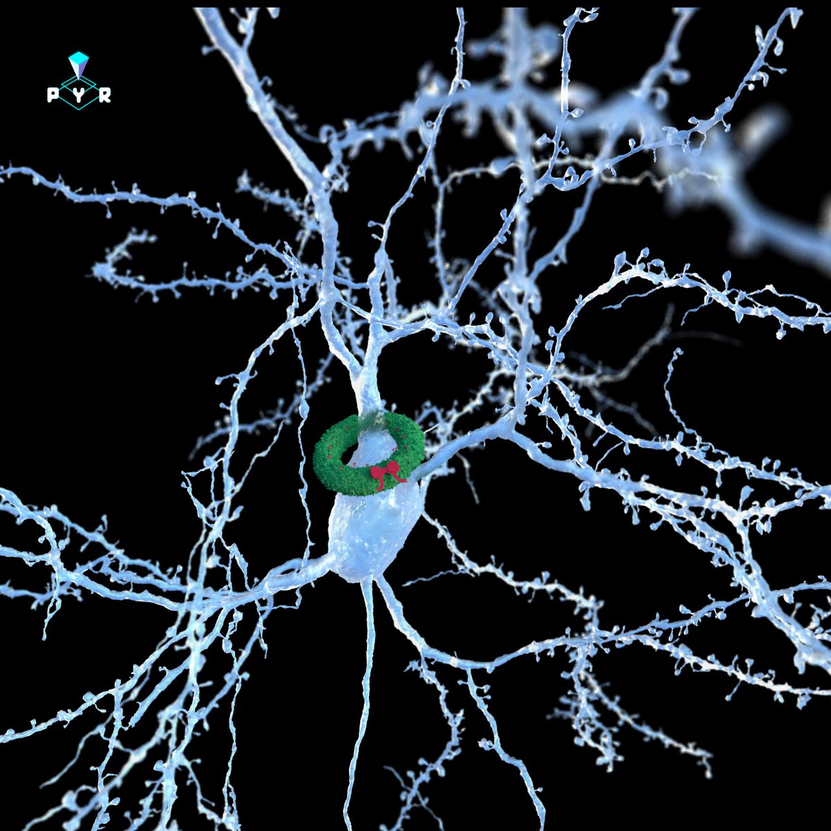 We’ve got holiday cheer on the brain. Happy holidays from your friends at Pyr