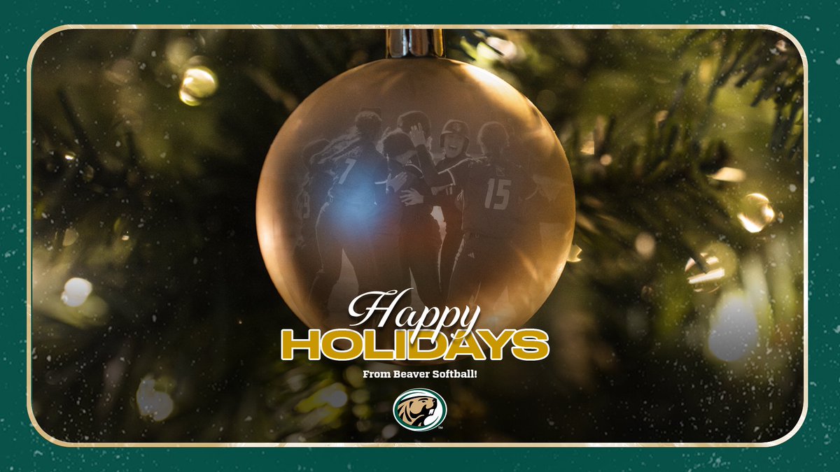 Bemidji State Softball tweet media