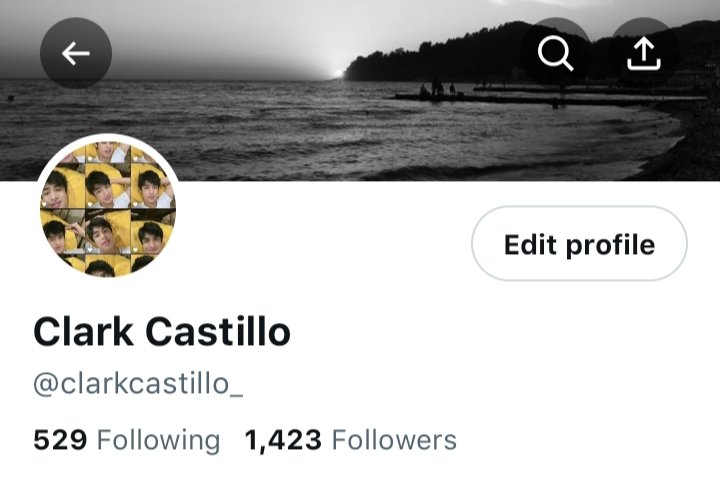kaye tweet media