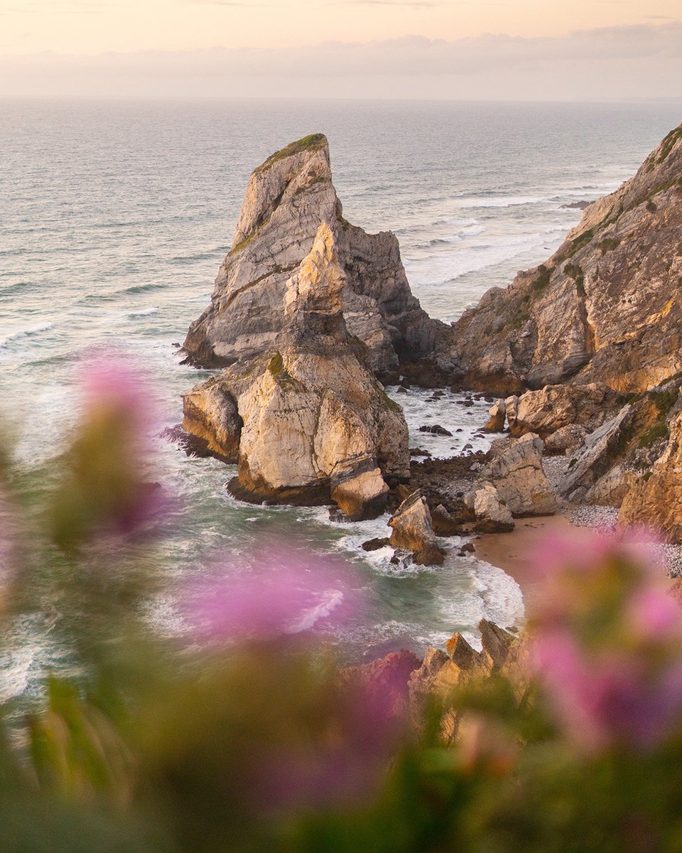 goaheadtours's tweet photo. When is the best time of year to visit Portugal? Read our guide to planning your perfect trip, no matter the season! https://t.co/Eje52whCax
#Portugal #Lisbon #Porto #PortugalTravel #GuidedTrip #TravelSeason #SoloTraveler #GroupTrip https://t.co/Usoj7nHSz6