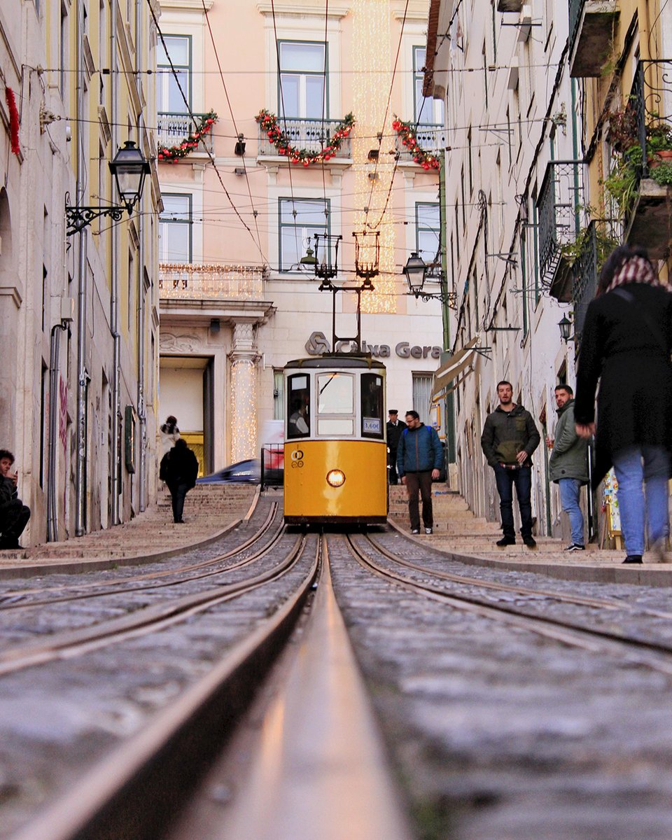 goaheadtours's tweet photo. When is the best time of year to visit Portugal? Read our guide to planning your perfect trip, no matter the season! https://t.co/Eje52whCax
#Portugal #Lisbon #Porto #PortugalTravel #GuidedTrip #TravelSeason #SoloTraveler #GroupTrip https://t.co/Usoj7nHSz6