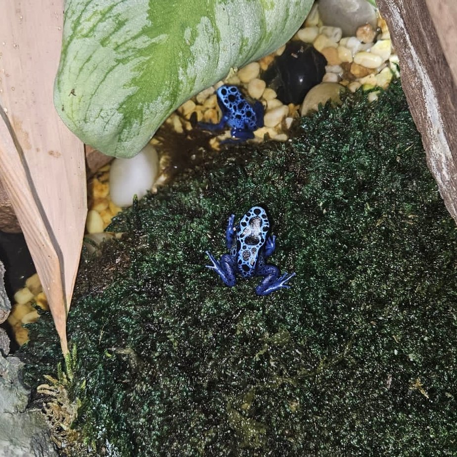 Tropical World Leeds tweet media