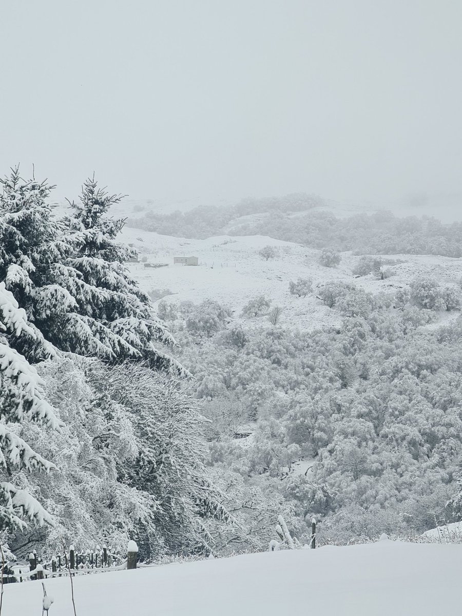 London_Lady's tweet photo. Snow for the win. I'm not leaving. Gorgeous blanket. #Rogart #Scotland #snow https://t.co/aIgie9plNO