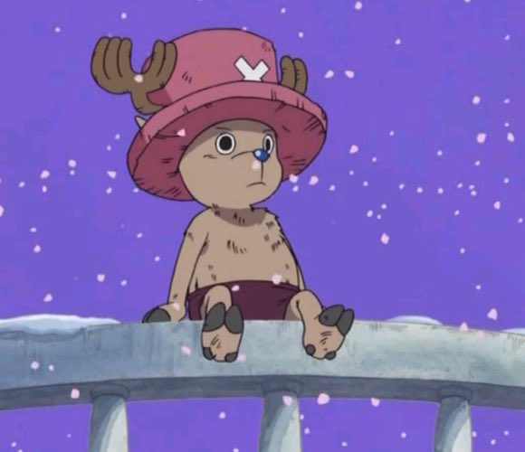 Happy birthday Chopper !