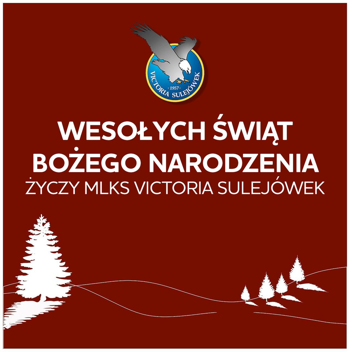 Cały klub Victorii Sulejówek życzy wszystkim kibicom, zawodnikom, dzieciom oraz rodzicom wesołych świąt! 🧑‍🎄
