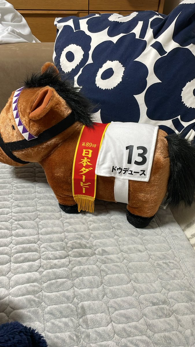 今年の有馬記念の本命はこの子です