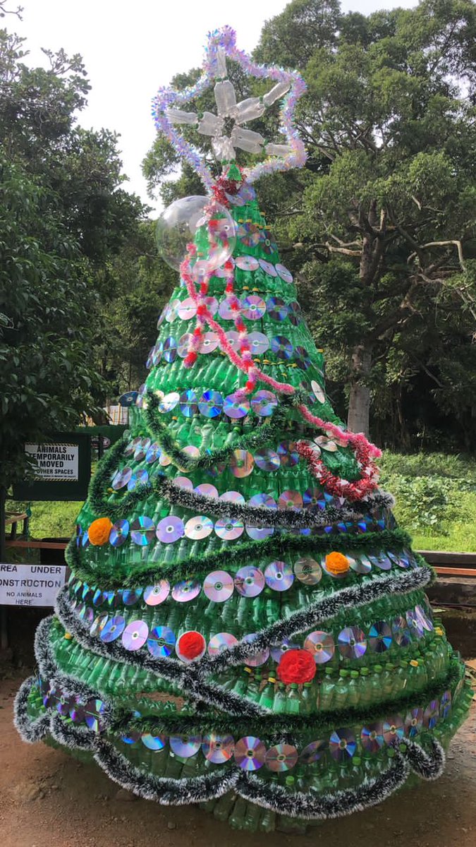 Who says sustainable awareness cannot also be attractive? This massive Christmas tree @UWEC_EntebbeZoo was constructed with plastic bottles and old 📀CDs. Merry Xmas + Happy 2024