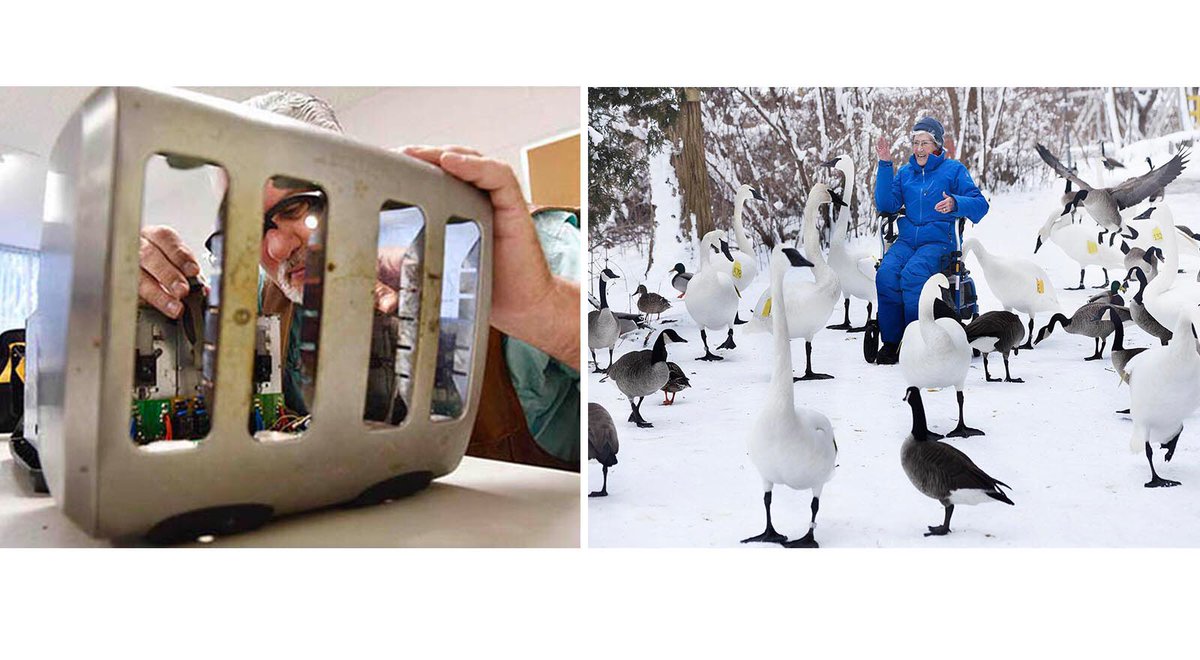 Graham Paine tweet media