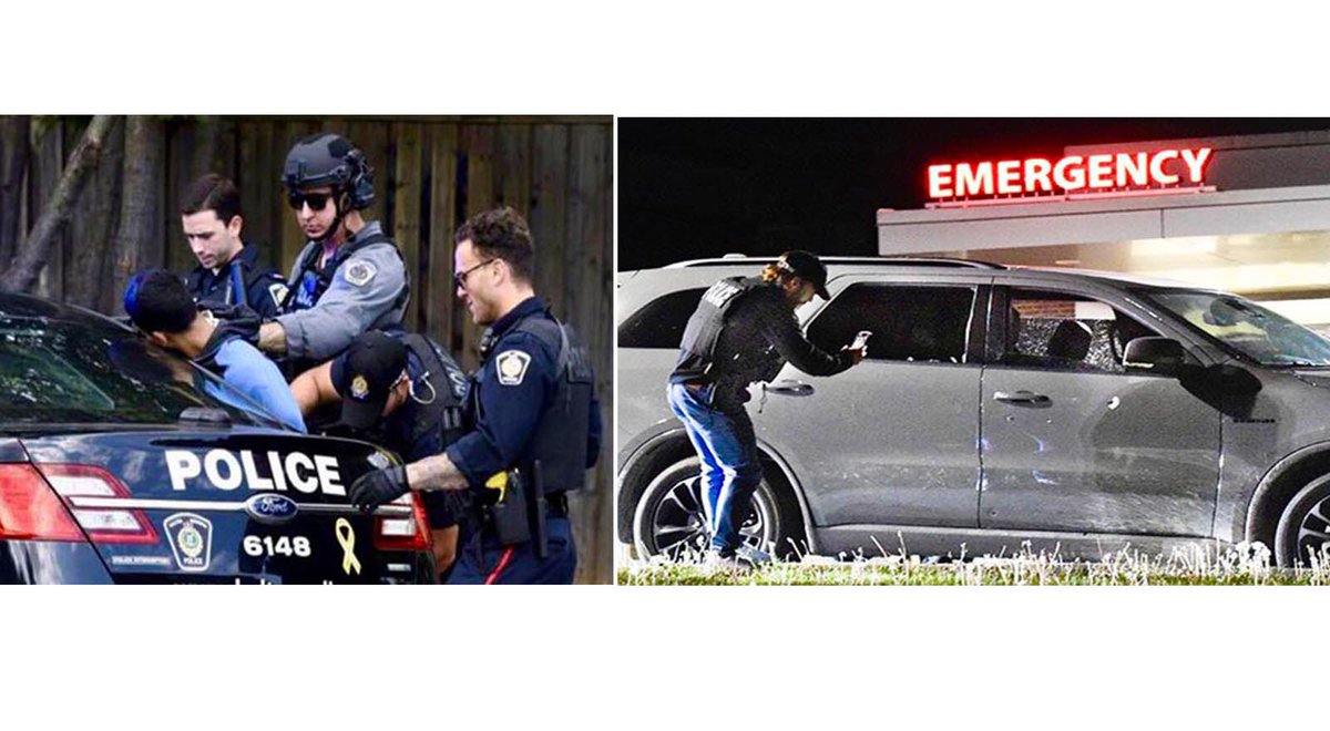 Graham Paine tweet media