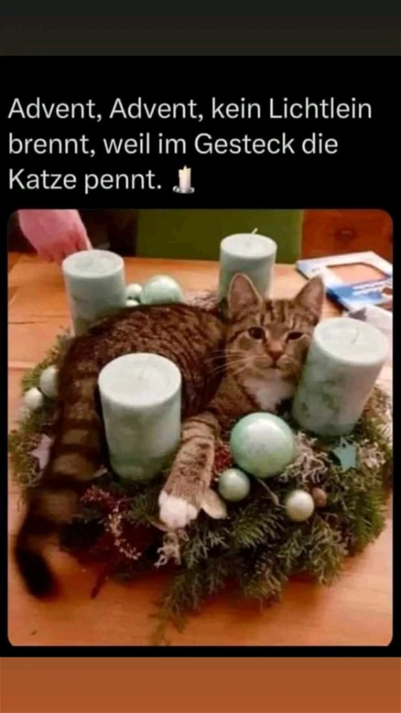 BailiffMario's tweet photo. @KGN_Gezwitscher Den wünschen wir Euch auch! https://t.co/AxtxAaiHOF
