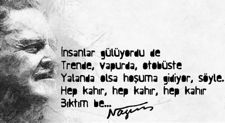 Böyle yaşamaktan ben bıktım usta...