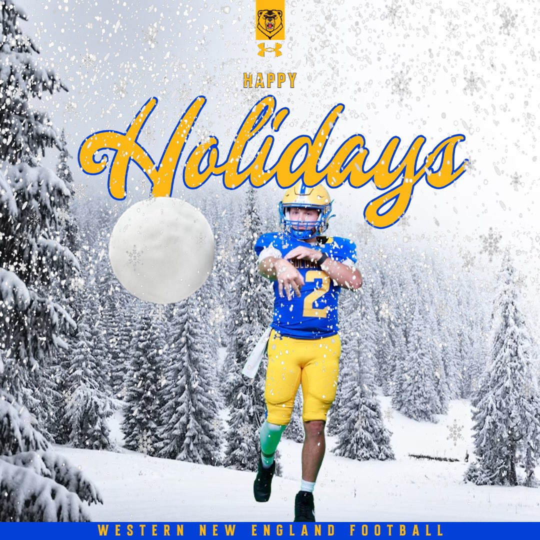 WNEFB's tweet photo. We @WNEFB would like to wish everyone a happy and safe holiday season! https://t.co/HgT4UGYEEr