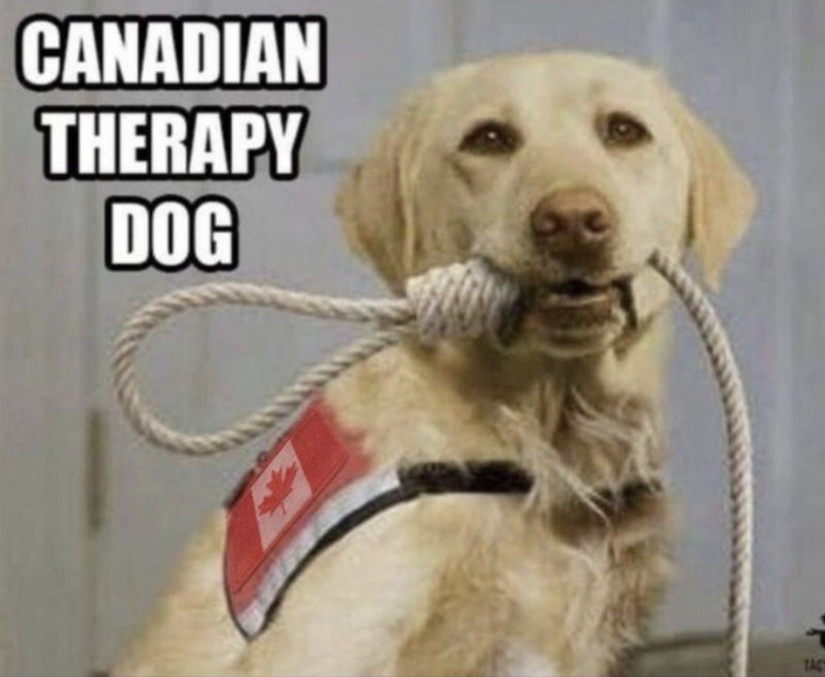 Robert W Malone, MD tweet media