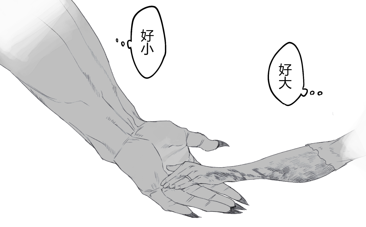 一些感想 