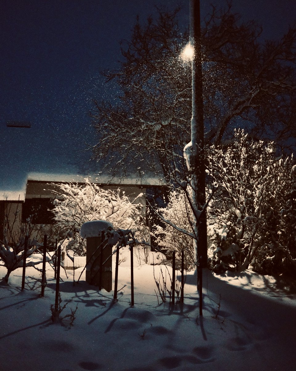 dontpanicv's tweet image. 357/365 photo challenge

#fujifilm #fujifilmxseries #365photochallenge #picaday #photooftheday #photography #daychallenge #photoaday #365project #picoftheday #sooc #x100v