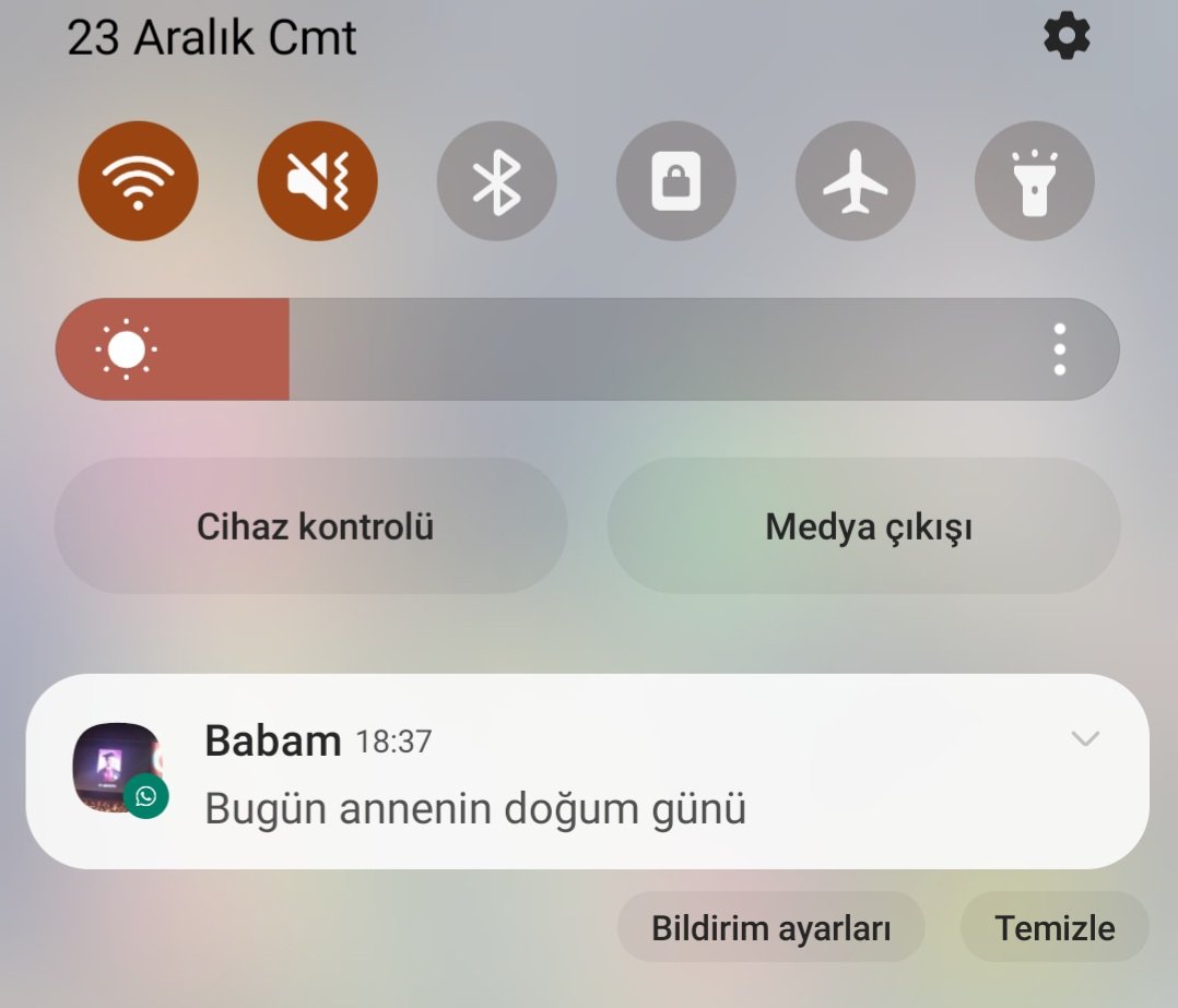 Alexin dogum gununu her sene 00.00da storyde paylasip annemin dogum gununu unutan hayirsiz bir evladim ben