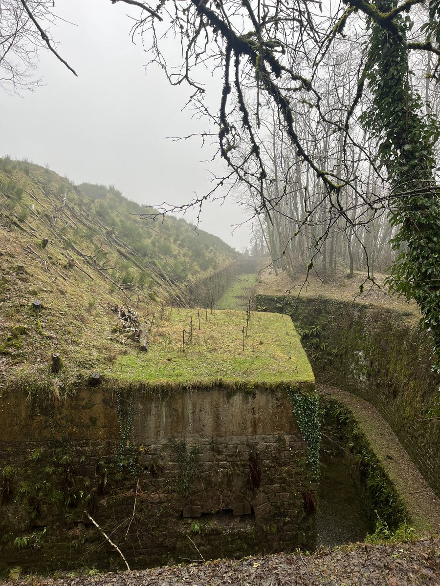 « Pluie du matin, n’arrête pas le pélerin » Tour de la Miotte et fort Dorsner !!! #territoiredulion