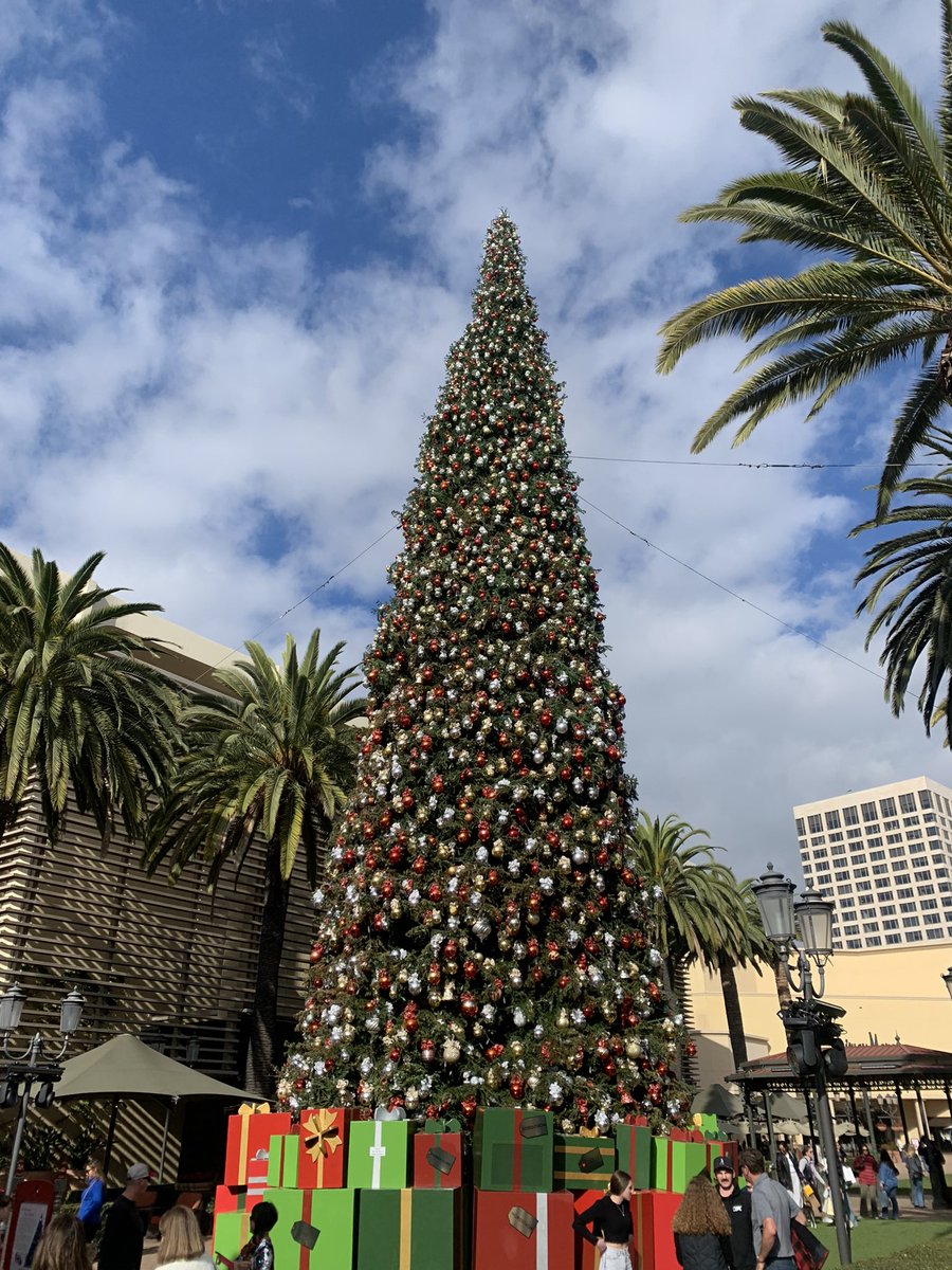 A Merry Southern California Christmas to you. 🎄🍊 #FashionIsland #NewportBeach #CA47