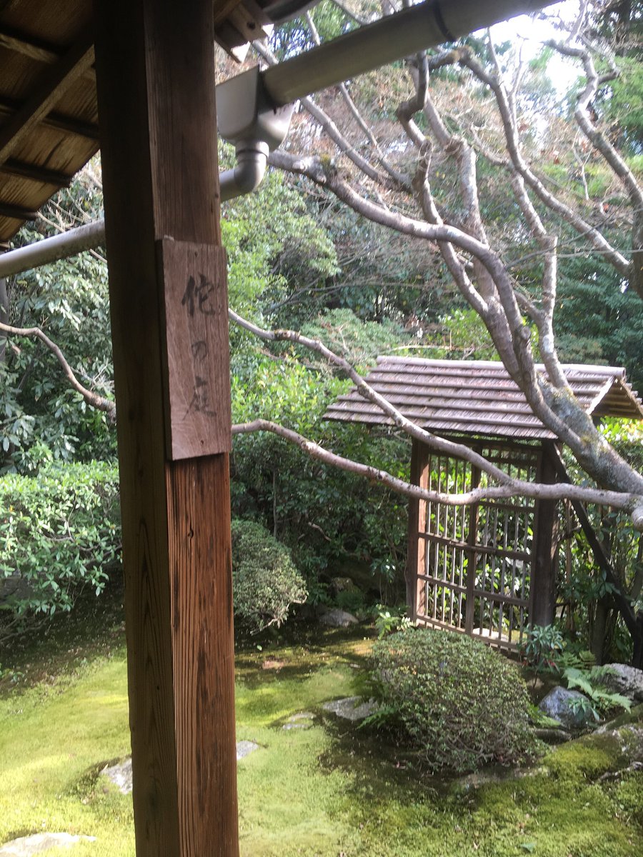 妙心寺塔頭の桂春院。冬の庭園も素晴らしい