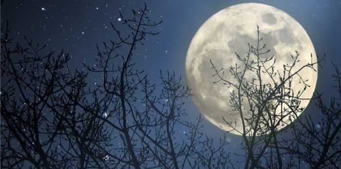 The last Full Moon of the year occurs on the 26th December 

Known as the #ColdMoon, or #LongNightMoon because it occurs near the #WinterSolstice, the longest night of the year

#FolkloreSunday #FullMoon