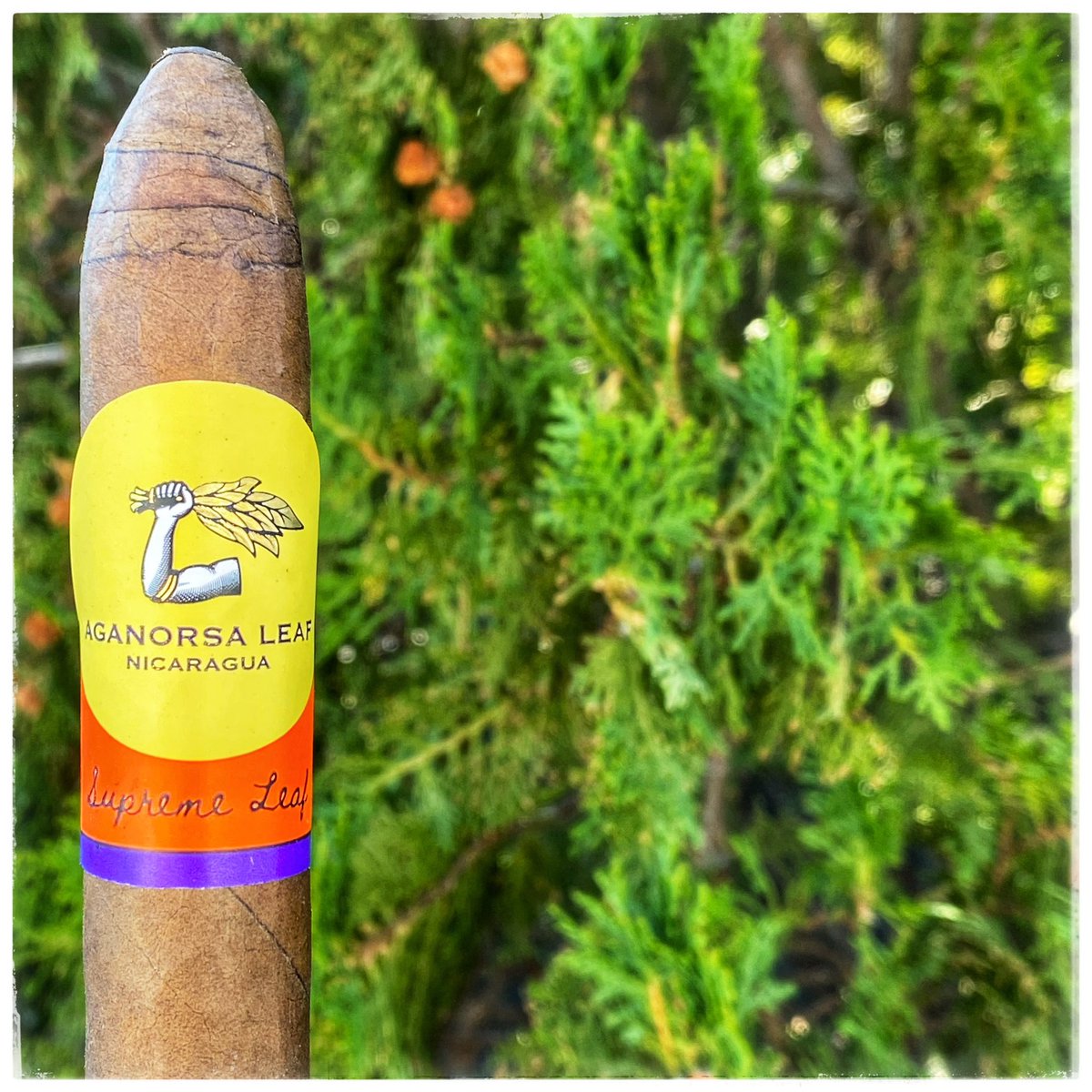 The Supreme Leaf from Aganorsa Leaf

Last minute holiday shopping? Don’t forget to treat yourself! Last chance before Christmas…

#cigar #cigars #botl #sotl #cigaraficionado #cigarbox #cigarboxlv #vegas #lasvegas #nowsmoking