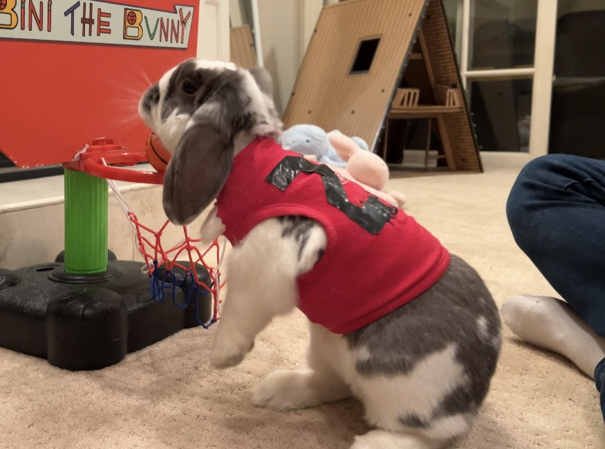 Bini Jr. plays basketball !!! Don’t miss the video- youtu.be/q6ciSV4JlUU?si…