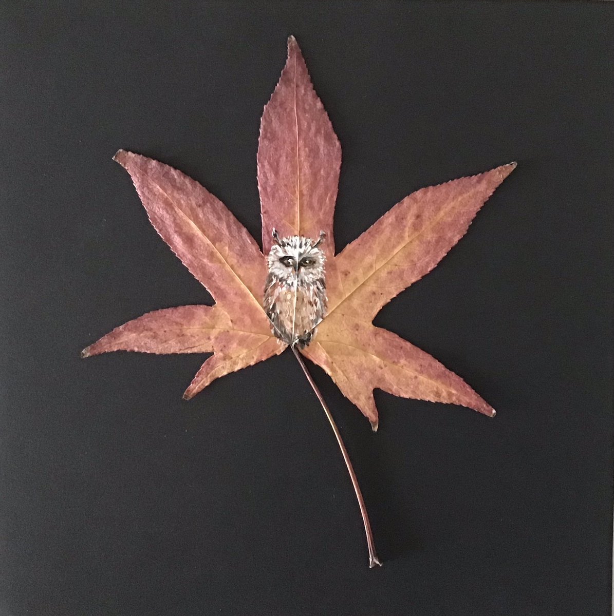 evdw20365's tweet photo. Groot formaat schilderen is leuk, maar deze mini’s geven mij zeker zoveel voldoening #art #leafart #acrylverf https://t.co/ee6CjEtFjW
