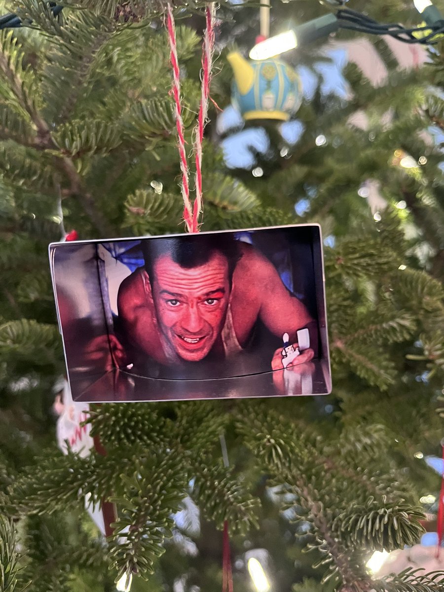 Just popping in because @TraumaSoapBoxes is amazing and it’s Christmas now in our trailer and I always think of her when I put up this ornament.