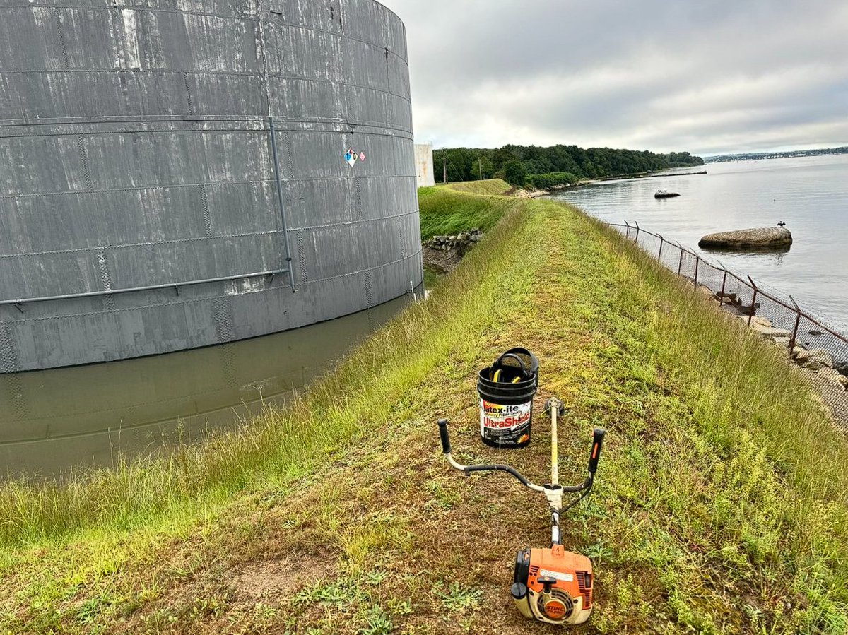 1msdj1's tweet photo. @nicky_sap Nice!  👇 My Gym! 6.8 Miles of Dike Walls inside and out. Let's Go $DIVI - Let's go $MILO . Let's Go @LightningWorks7  , Let's Go #DIVIDeFi  #diviecosystem https://t.co/8agNWAegcq