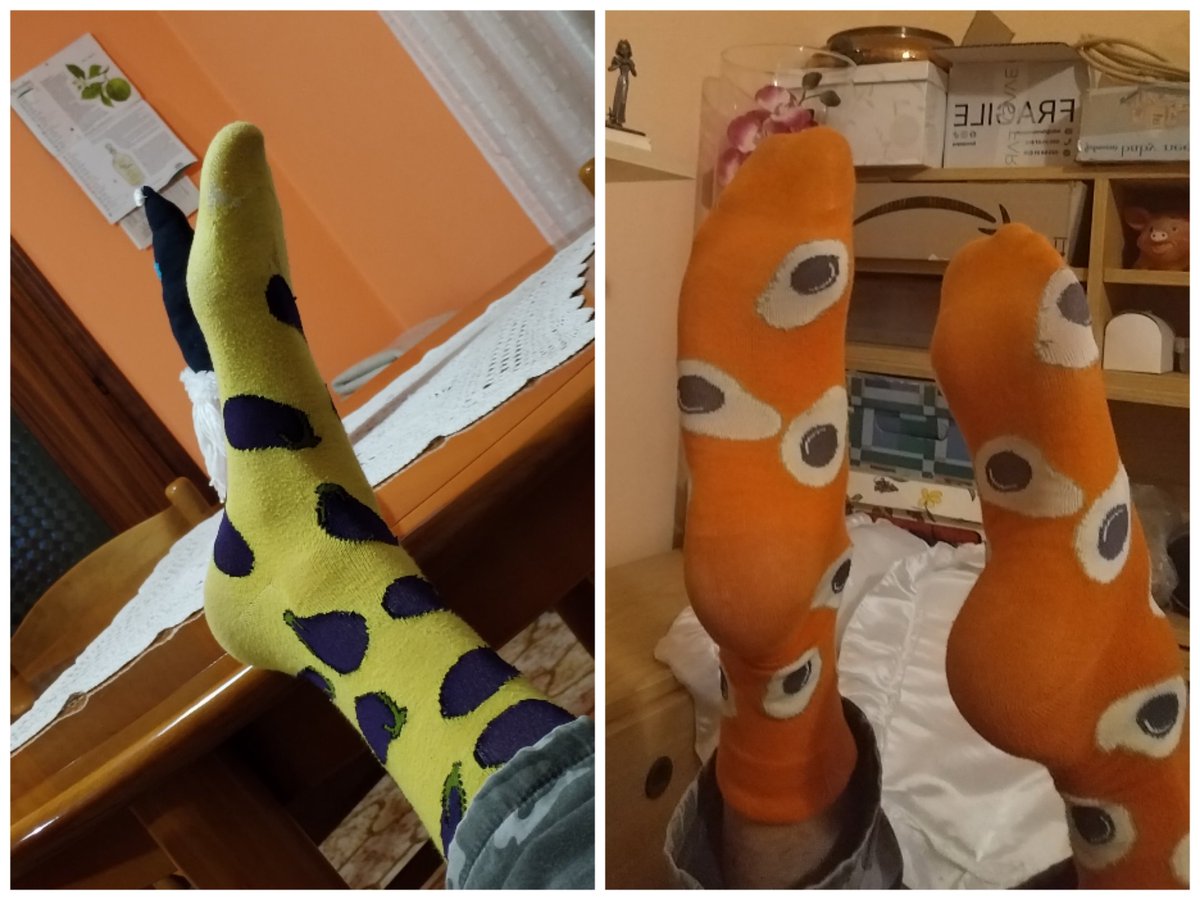 Andreaa13605114's tweet photo. Socks day #socks #fruit #auberginesocks #avocadosocks #yellowsocks #orangesocks https://t.co/N3CFi9Vud0