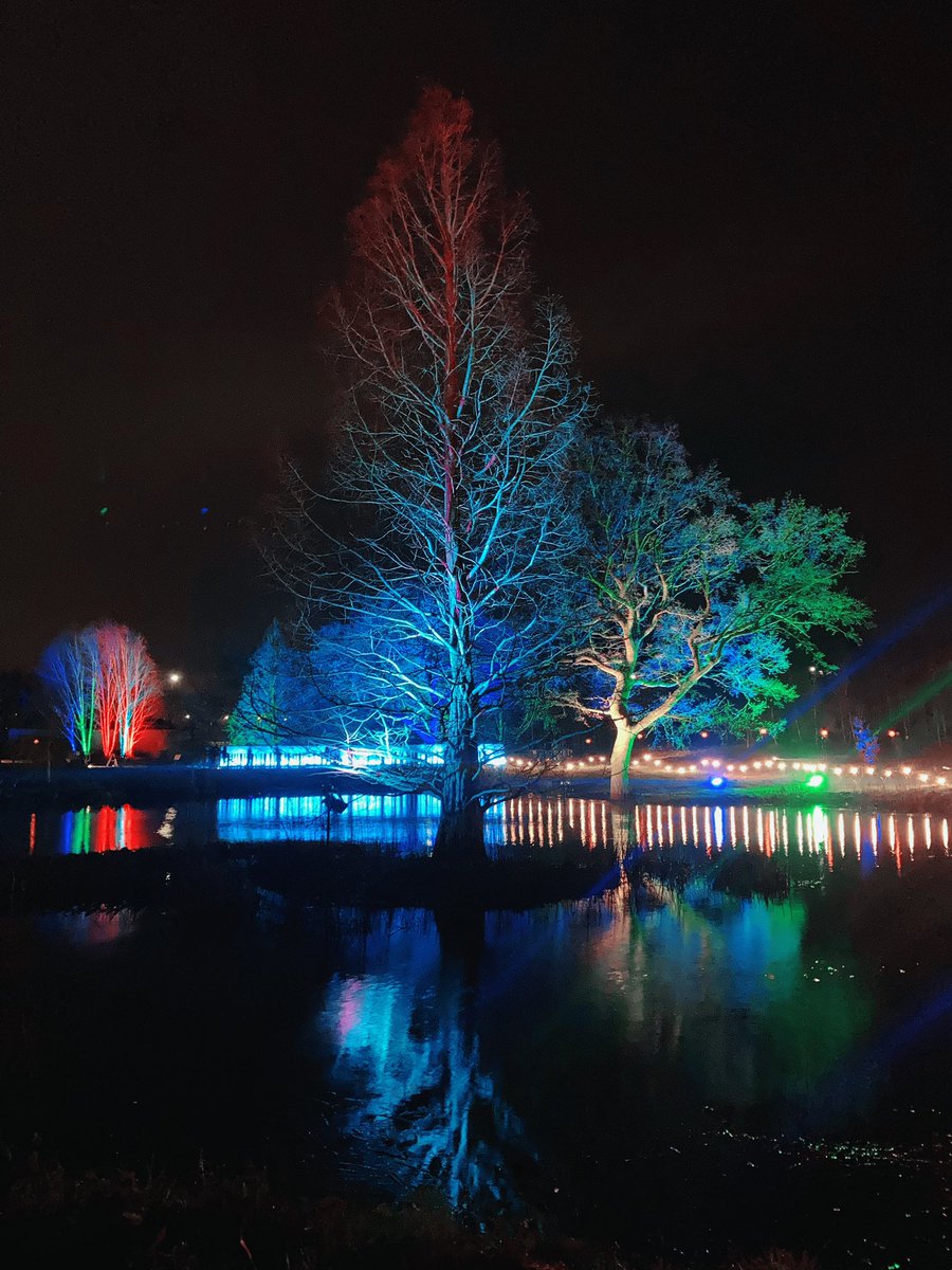 Glow at Harlow Carr last night. Such a magical start to the Christmas holidays- and a celebration of #WinterSolstice and my mum’s birthday all rolled into one. Fabulous. 🤩🌳🙌🏼