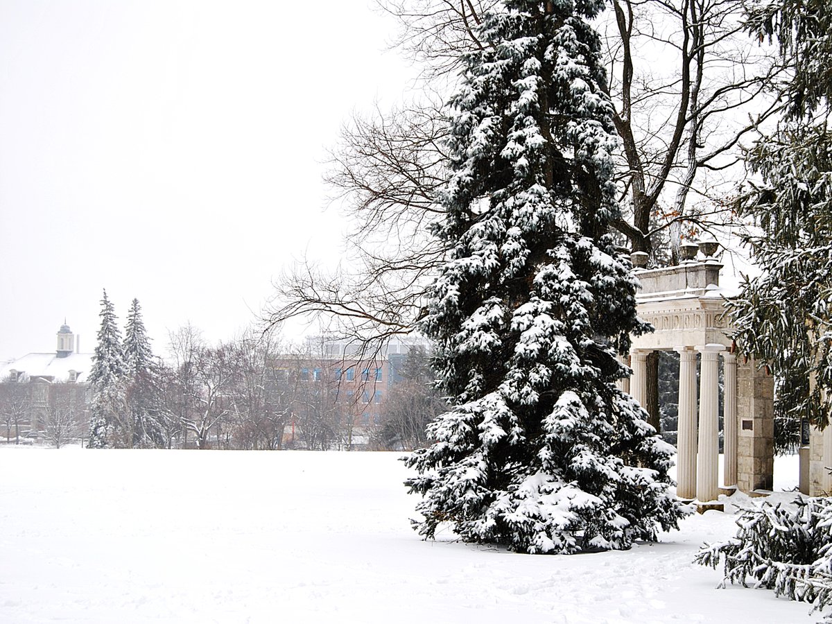 We are wishing our #UofG community a warm and cozy holiday break! ❄️ Happy Holidays, and see you all in the New Year! 🌟