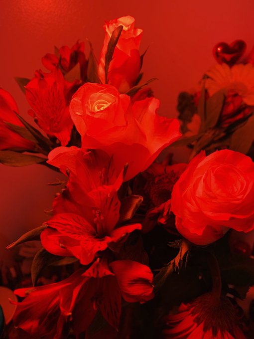 🌹💫❤️✨ https://t.co/unextDtqfs<a href="/tag/mvsales"class="tags"><span>#mvsales</span></a>