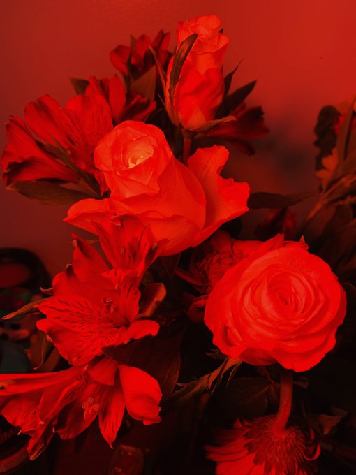 🌹💫❤️✨ https://t.co/unextDtqfs<a href="/tag/mvsales"class="tags"><span>#mvsales</span></a>