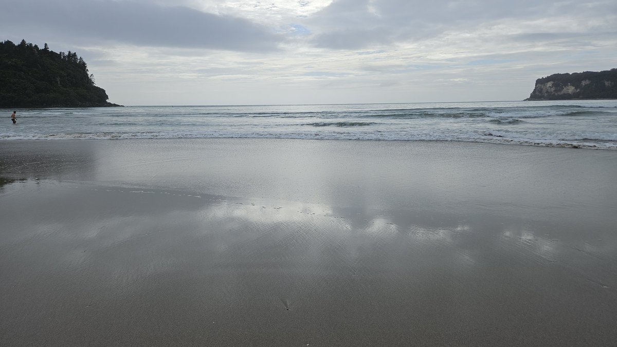 Coming to the beach with me includes checking out tsunami evacuation zones and discussions around where you would go if you saw/felt/heard the signs (and what those signs are!) I'm a bundle of fun 😅 civildefence.govt.nz/get-ready/get-… #tsunami