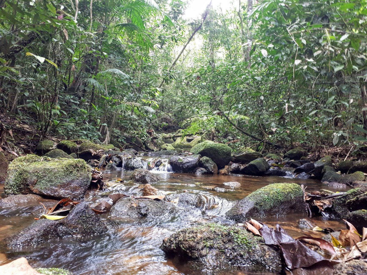 Victor Saito tweet media