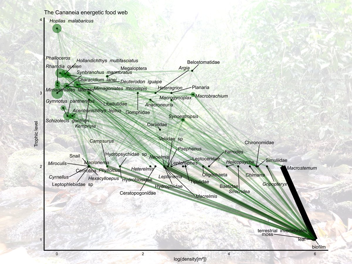 Victor Saito tweet media