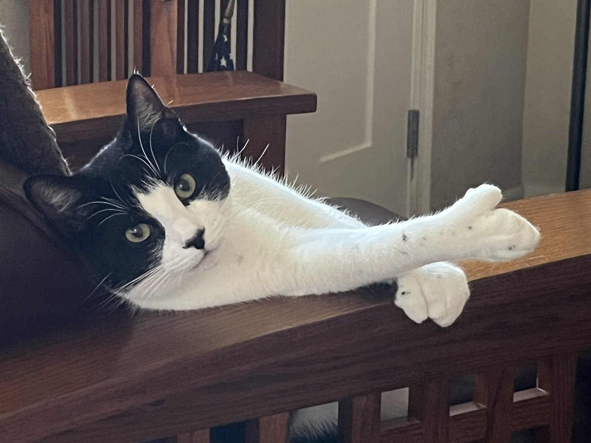 Debra Jepson tweet media