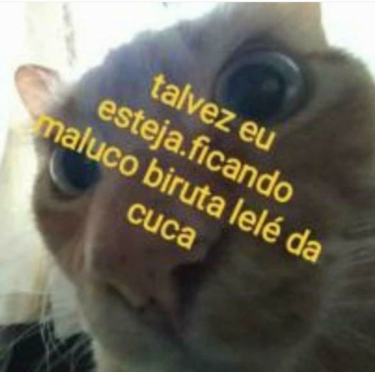 Shitpost só que de verdade (@shitpostverdade) on Twitter photo 