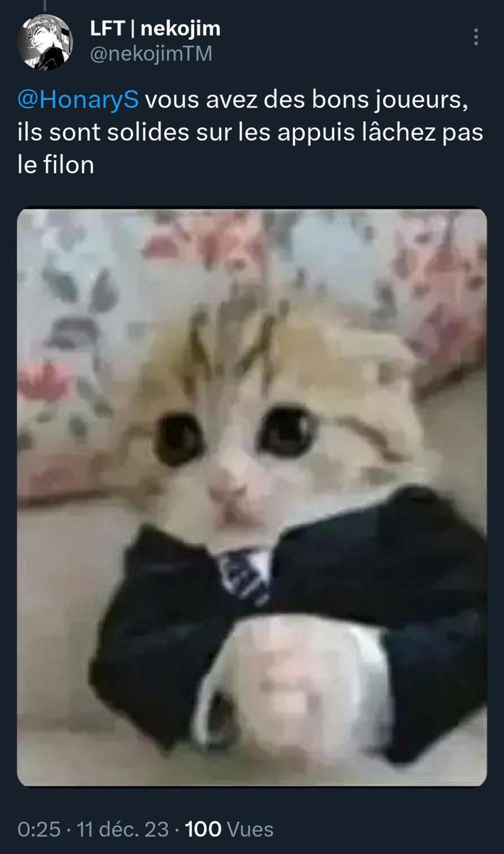 LFT | nekojim tweet media