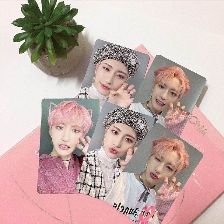 xiaobshop's tweet photo. 🎄 SORTEIO DE NATAL 🎄

💗 Prêmio: 1 photocard regular
💗 Resultado: 30/12 (sábado) às 20h

Atenção às regras:
· Seguir a loja (@xiaobshop)
· RT e fav neste tweet
· Reply (não quote) com nome e foto do pc regular desejado + marque 2 @
· Apenas 1 comentário por conta
· É permitido enviar mais de uma opção de pc no mesmo tweet, desde que todos os itens acompanhem nome e foto

Quem ganhar terá o @ marcado no post e 24hrs para reivindicar o prêmio na dm.

*Apenas pcs regulares, não serão aceitos promocionais, kihnos, japoneses e pobs. Também não aceitaremos pcs que, mesmo regulares, sejam raros.

BOA SORTE! ✨