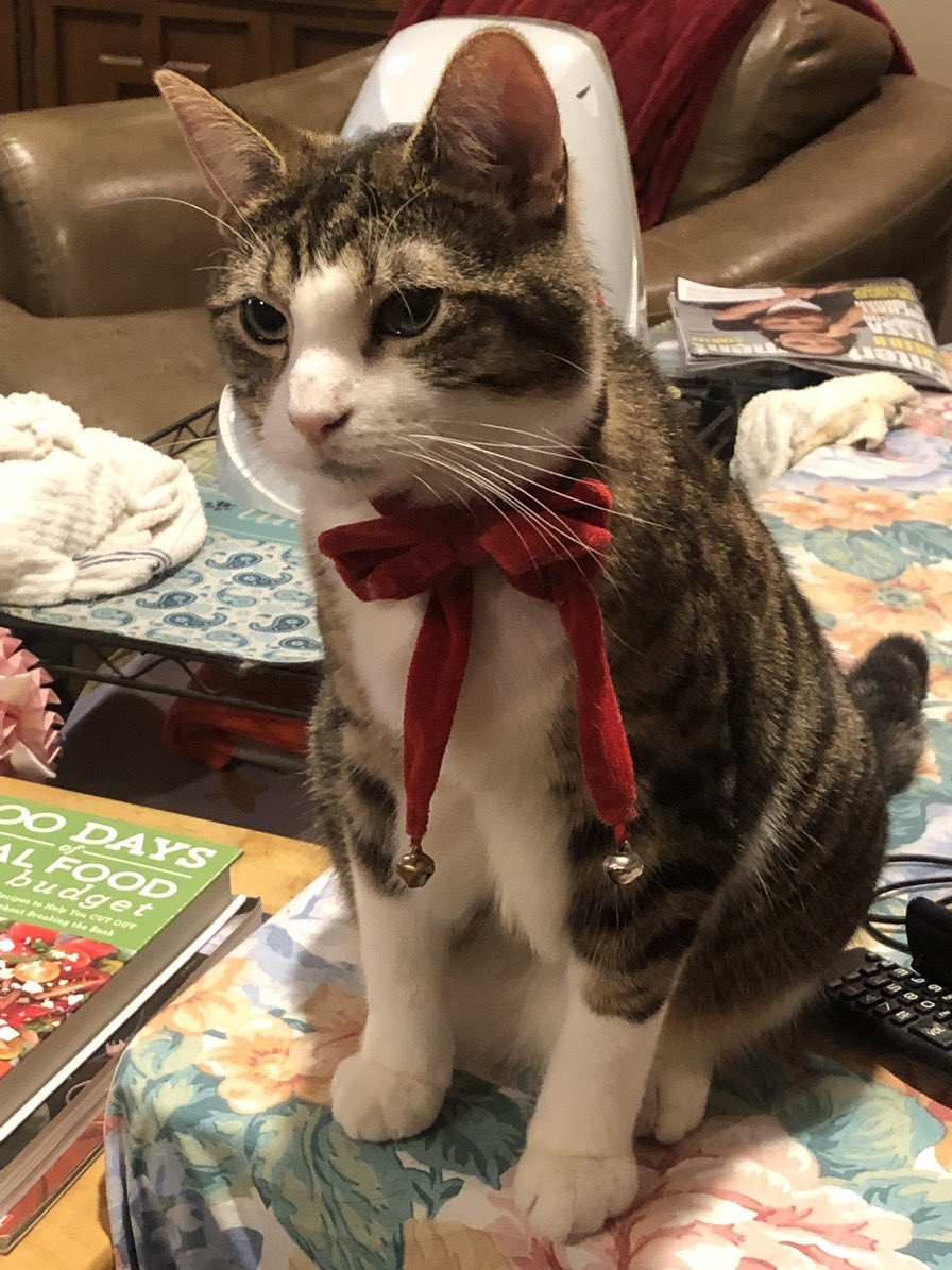 HalThoughts's tweet image. And a few more