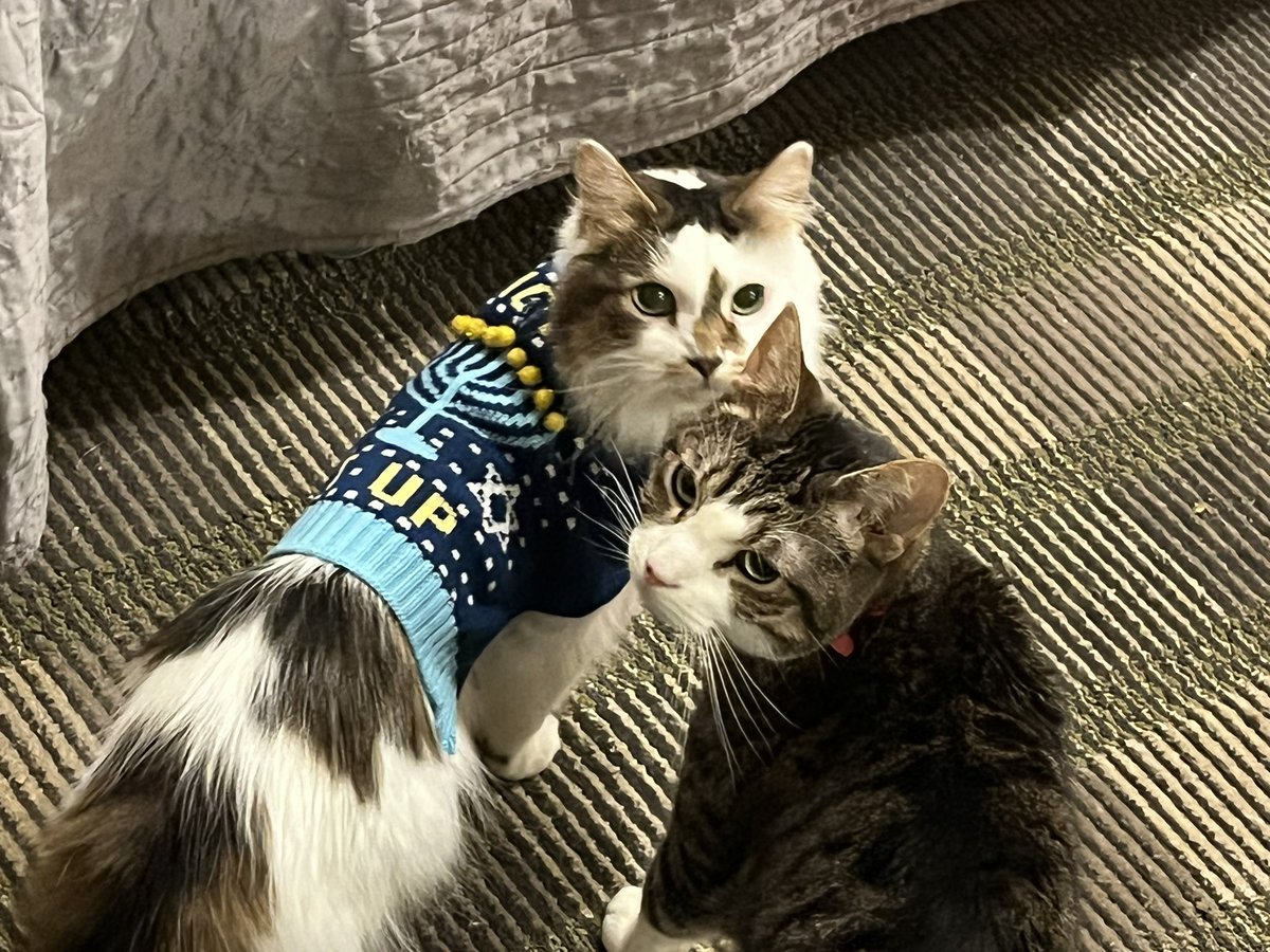 HalThoughts's tweet image. And a few more