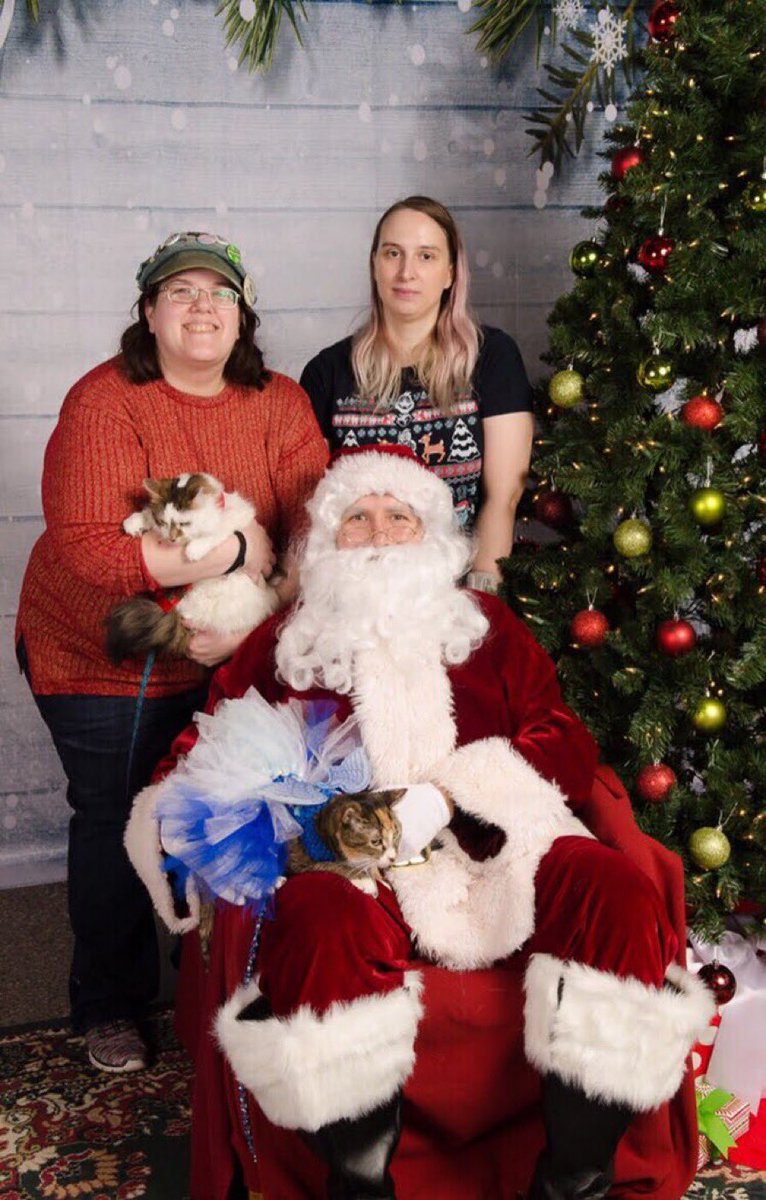 HalThoughts's tweet image. Some pictures of the twinsies from previous Christmases.