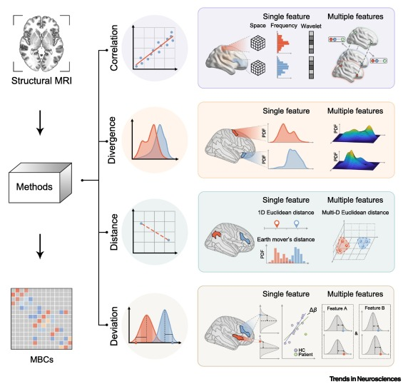 xiaoxiao_mri's tweet photo. Brain network mapped from a single structural MRI scan.

The individual morphological brain connectome (MBC) exhibit nontrivial topological properties, and is valuable in researches on development and brain disorders.
https://t.co/B8giMKZ6ib https://t.co/CHFPLeyXDY