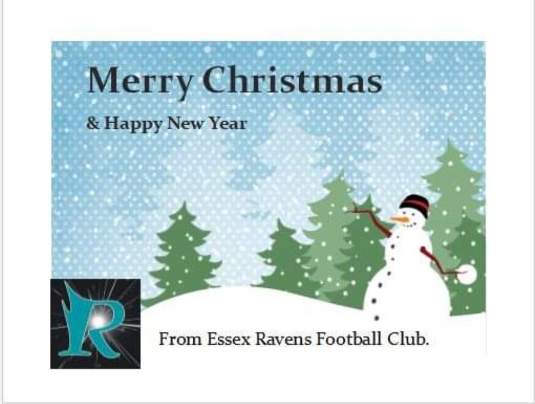 Merry Christmas and Happy New Year. GO Ravens!  Looking forward to 2024.